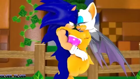 Sonic and Rouge
