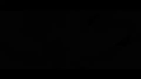 Ayane and Kasumi Double Blowjob (Erotic Audio and DOAX3)