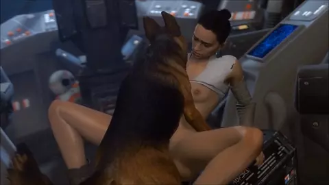 Dog compilation