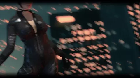 Cat Dance