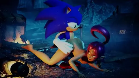 Sonic and Shahra