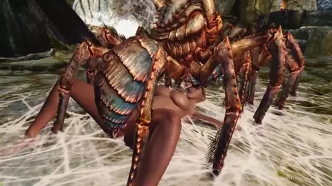 Arachnophilia Part 2