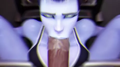 WIDOWMAKER - PMV