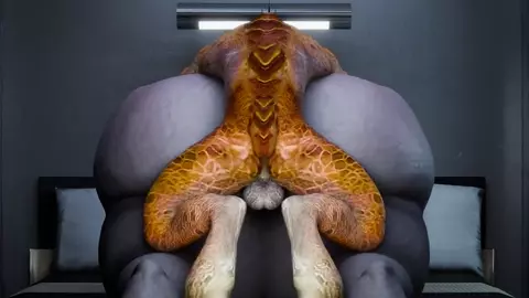 In sesion with Sangheili