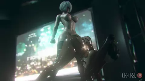 Eve+2B[TokPok3D]