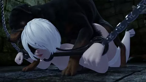 2b trapped and used by dog