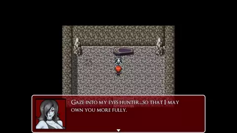 Crimson Veil Vampire Hunter Route Diary Desires