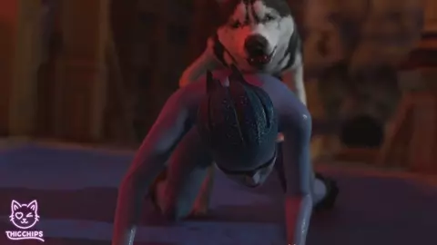 Dog stuff