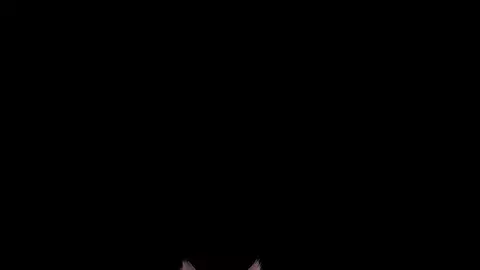 tifa Quicky part1