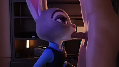 Judy Comp Warm