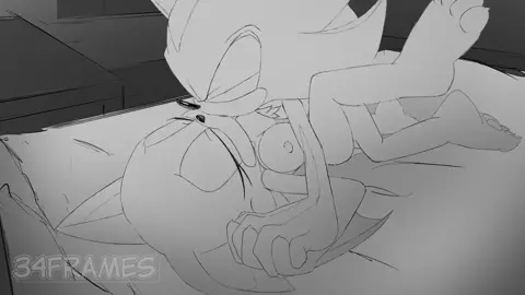 Rouge and Shadow