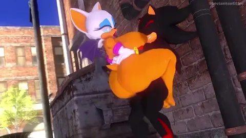 Shadow fucking Rouge in the alley (Sound)