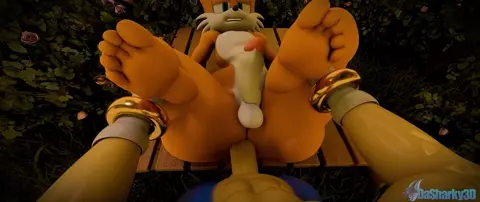 Sonic Fucking Tails POV