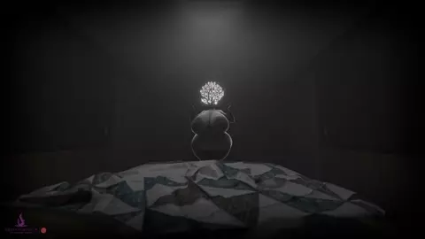 The Visitor