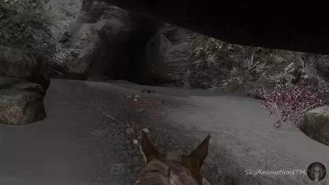 Horse Lust