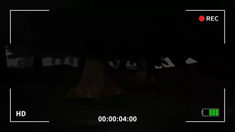 slenderwoman found another victim