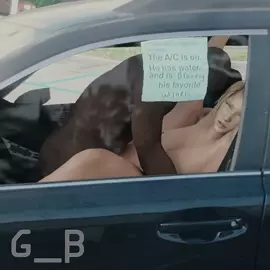 Samus aran sex in the car (GeneralButch)