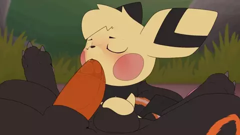 Pichu succ