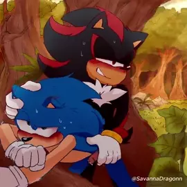 Shadow and Sonic [SavannaDragonn]