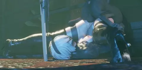 2b x Dog