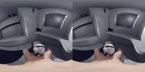 2b blowjob loop (vr)