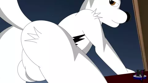 Bolt & Krypto AV