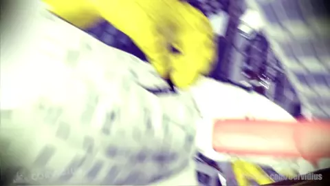 Burd Play