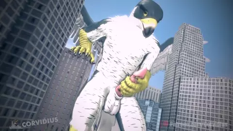 Burd Smush