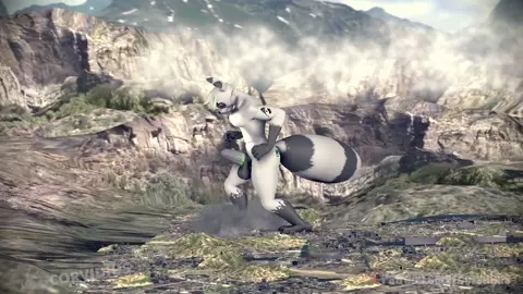 Raccoon Romp