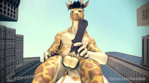 Big N Tall