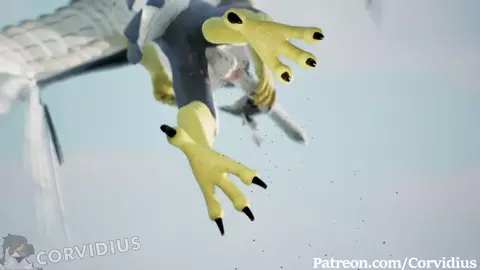 Corv Plane Hump
