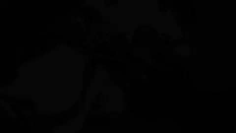 Yelan Animation (Full) [AssDepik]