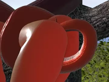 Hypno Anal