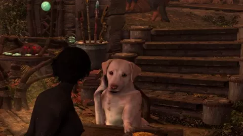 Gambling with Onyx
