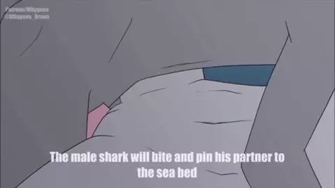 Shark Week - (Sound/4K) [Whygena]
