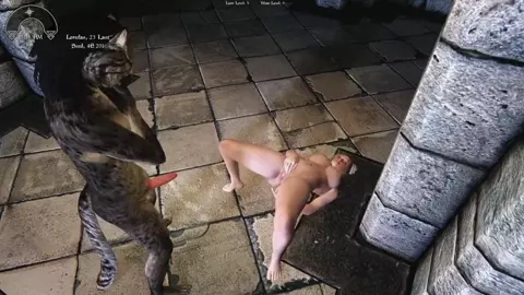 Pursuasive Khajiit