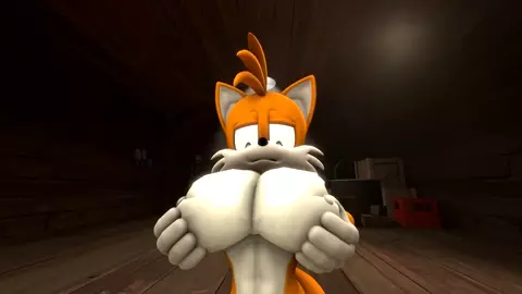 Tails and the femgem by killerchidna