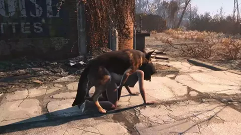 Dog meat and Nora