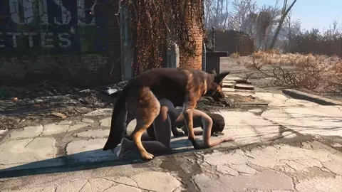 Dog meat and Nora 2