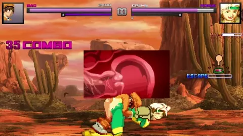 Bao vs Rogue