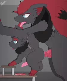 Zorak and Zorua