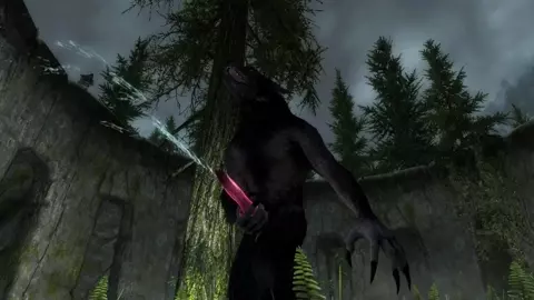 Werewolf on Wolf