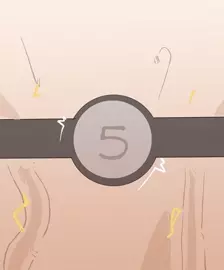 assh vs scolipede