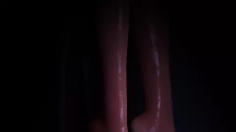 SLAYED PMV