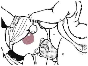 Pokemon CumpDump