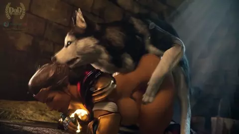 Dog Compilation 1