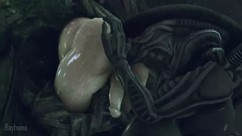 Xeno Dinner