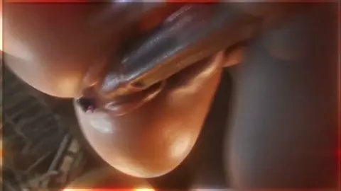 Futanari | HMV