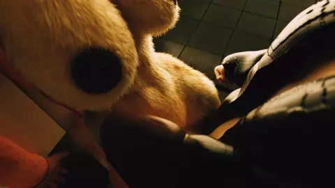 fox in trainstation