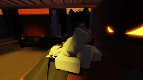 cat breeding session